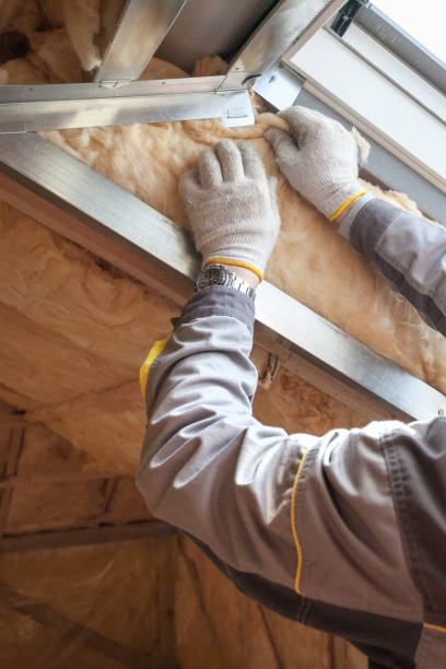 Best Insulation Replacement Services  in Rancho San Diego, CA