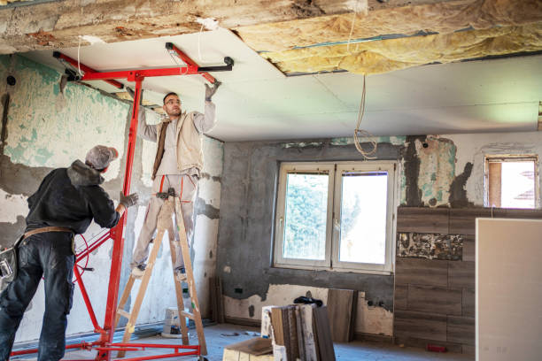 Best Insulation Removal  in Rancho San Diego, CA