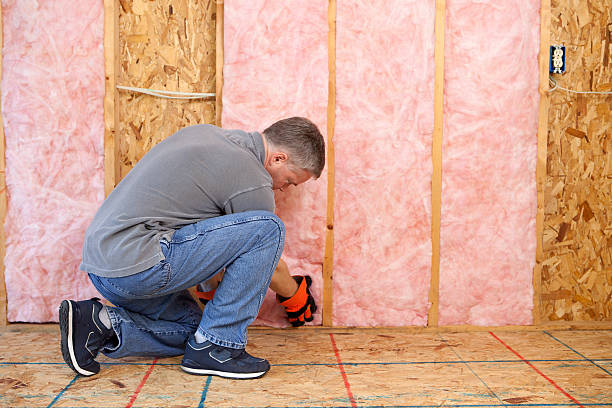 Best Fiberglass Insulation  in Rancho San Diego, CA