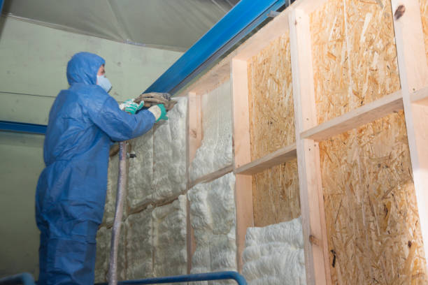 Best Attic Insulation Installation  in Rancho San Diego, CA