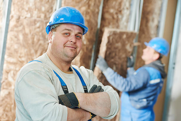 Best Insulation Contractor Near Me  in Rancho San Diego, CA