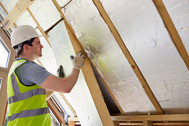 Best Local Insulation Services  in Rancho San Diego, CA