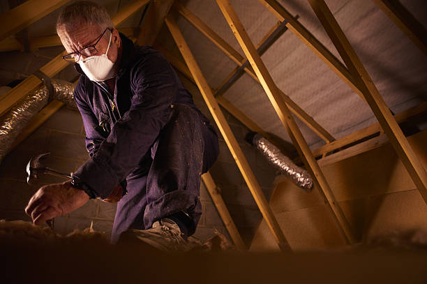 Best Attic Insulation Installation  in Rancho San Diego, CA