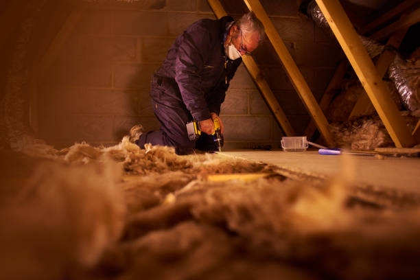 Best Affordable Insulation Services  in Rancho San Diego, CA