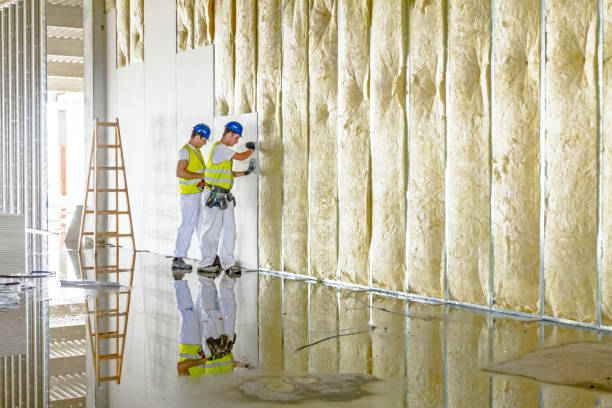 Best Insulation Repair Services  in Rancho San Diego, CA